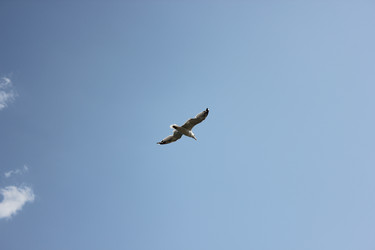 Similar image 21987925