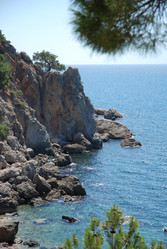 Similar image 21987825