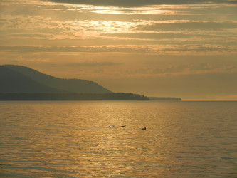 Similar image 21987928