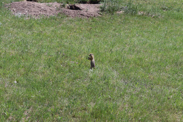 Similar image 21987930