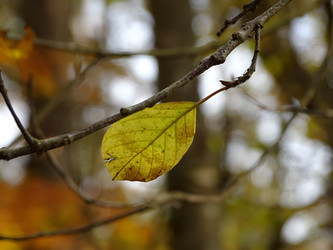 Similar image 21987826