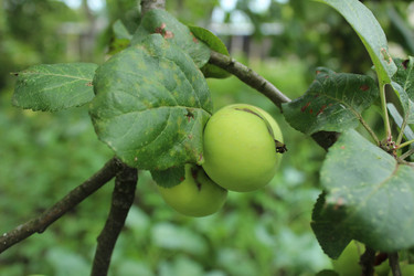 Similar image 21989250