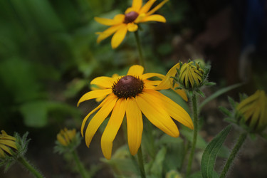 Similar image 21989251