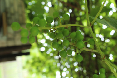 Similar image 21989252