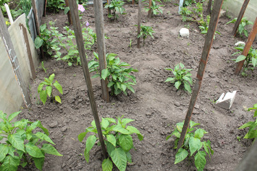 Similar image 21989254