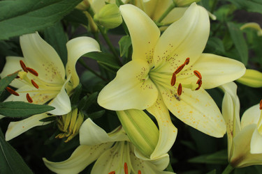 Similar image 21989255