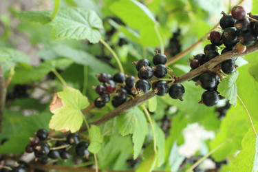 Similar image 21989256