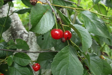 Similar image 21989257