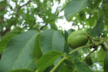 Similar image 21989258