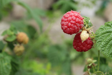 Similar image 21989260