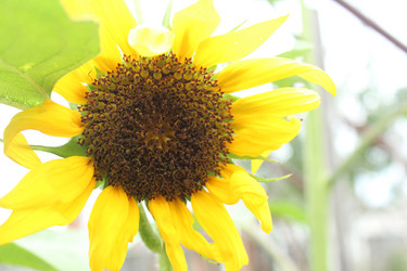 Similar image 21989261