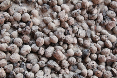 Similar image 21989268