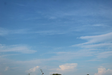 Similar image 21989269