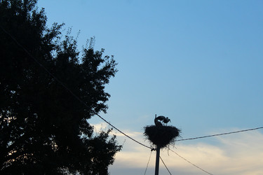 Similar image 21989270