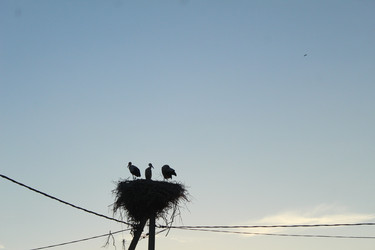 Similar image 21989272