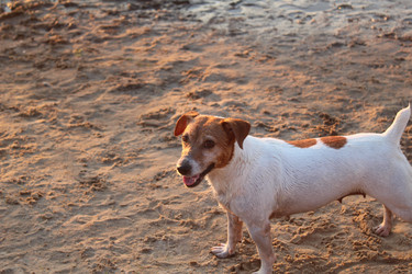 Similar image 21989275