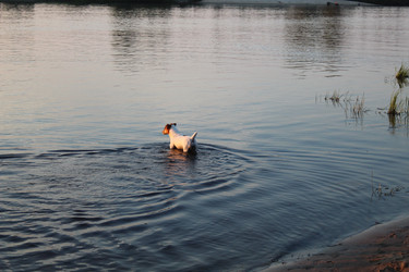 Similar image 21989276