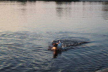 Similar image 21989277