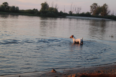 Similar image 21989278