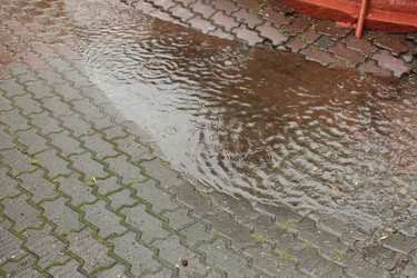 Similar image 21989279