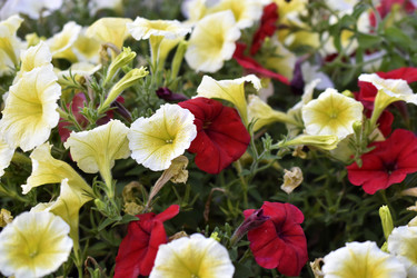 Similar image 21988091