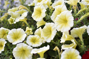 Similar image 21988093