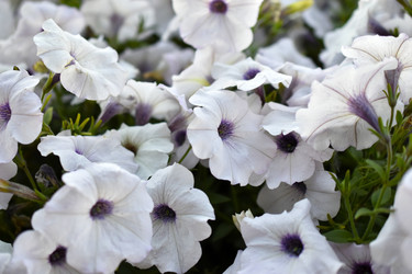 Similar image 21988095