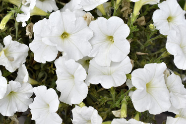 Similar image 21988097