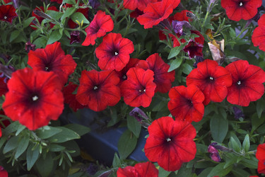 Similar image 21988098