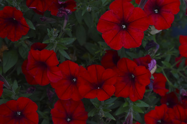 Similar image 21988099