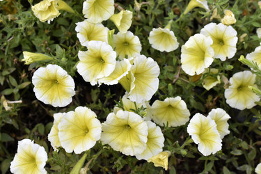 Similar image 21988101