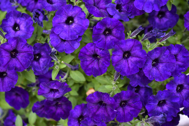 Similar image 21988103