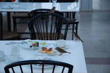 Similar image 21989598