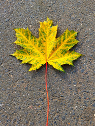 Similar image 21989426