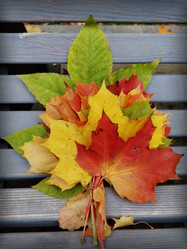 Similar image 21989428