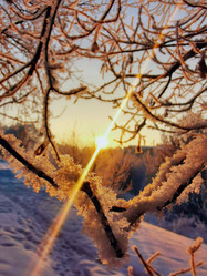 Similar image 21989433