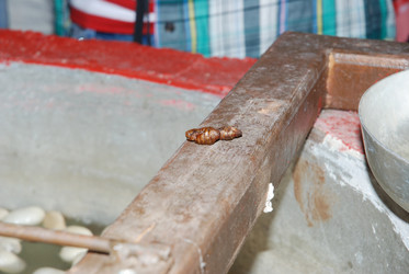 Similar image 21989603