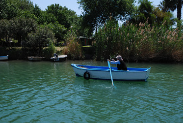 Similar image 21989606