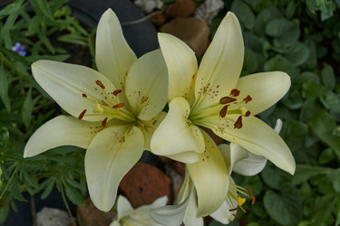 Similar image 21988113