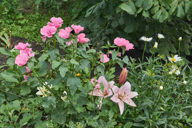 Similar image 21988115