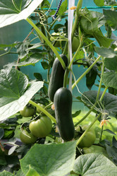 Similar image 21989968