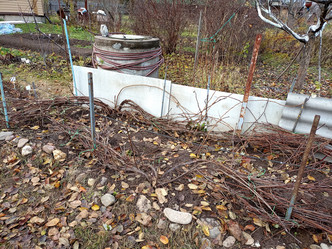 Similar image 21989971