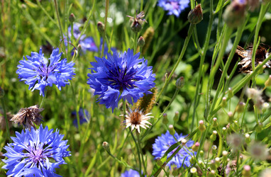 Similar image 21989976