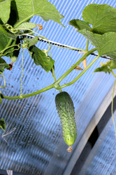 Similar image 21989977