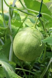 Similar image 21989978