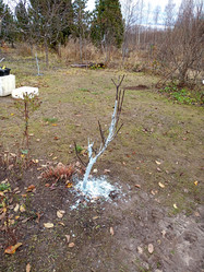 Similar image 21989980