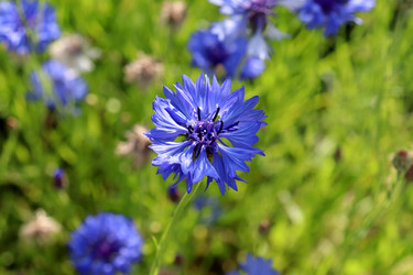 Similar image 21989982