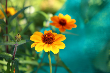 Similar image 21989984