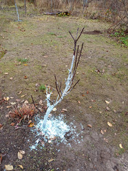 Similar image 21989986