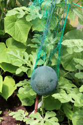 Similar image 21989989